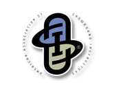 American Association of Snowboard Instructors